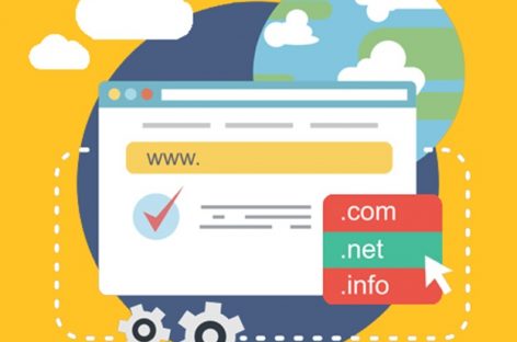 Domain Name Search and Transfer