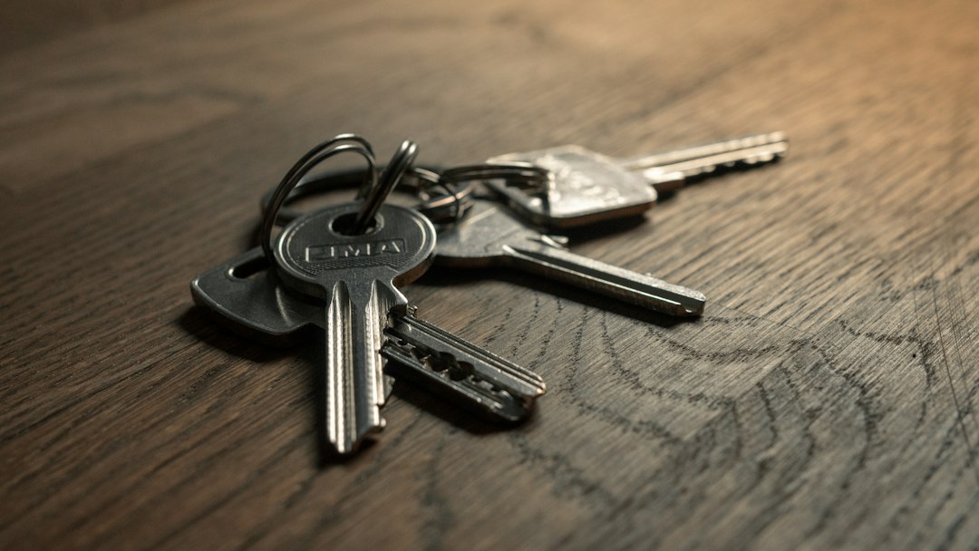 Understanding Car Title Loans in Ocala: Key Factors Borrowers Should Know